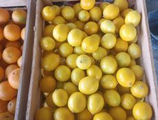 ЛИМОНЫ,АПЕЛЬСИНЫ