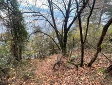 Участок у моря 