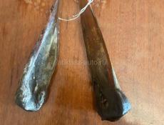 Продается медвежий желчь 