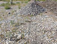 МЕСТО У ДОРОГИ