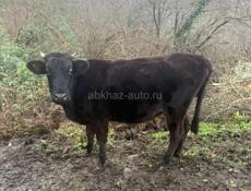 Срочно продается!! 