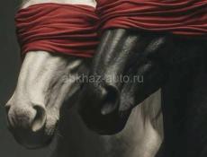 Снимем квартиру  