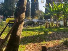 Срочно !!! В центре н. Афона