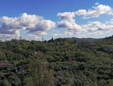 Пойдём убирать дом квартиру 