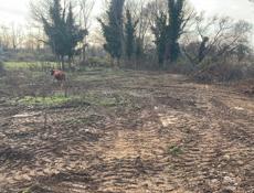 Участок белая речка 8 сот 