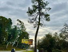 УЧАСТОК 90 СОТОК НА КАШТАКЕ  У МОРЯ 