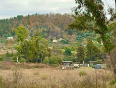 УЧАСТОК 90 СОТОК НА КАШТАКЕ  У МОРЯ 