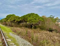 УЧАСТОК 90 СОТОК НА КАШТАКЕ  У МОРЯ 