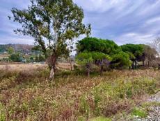 УЧАСТОК 90 СОТОК НА КАШТАКЕ  У МОРЯ 