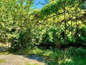 УЧАСТОК 1 СОТКА В ЦЕНТРЕ СУХУМА