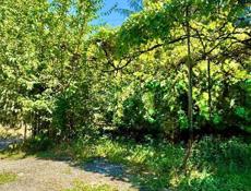 УЧАСТОК 1 СОТКА В ЦЕНТРЕ СУХУМА