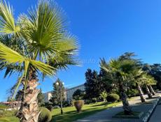 Ищу работу горничной 