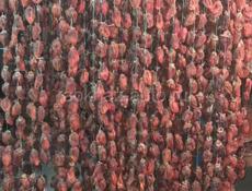 СРОЧНО ❗❗❗