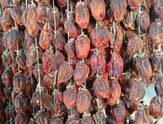 СРОЧНО ❗❗❗