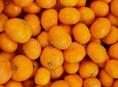 Продам мандарины 🍊 Гагра 