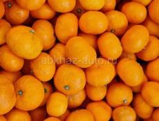 Продам мандарины 🍊 Гагра 
