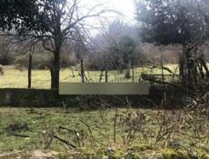 Дорога на рицу