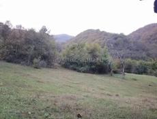 Дорога на рицу