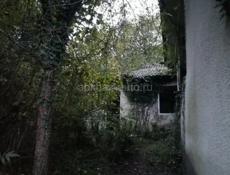 Дорога на рицу