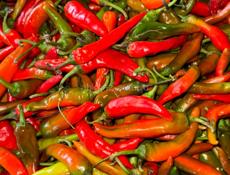 Перец острый 