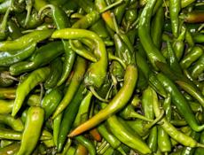 Перец острый 