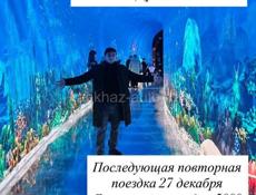 Принимаю заказы 