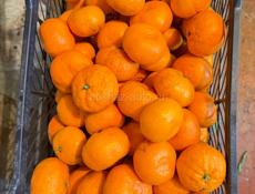 Желтые мандарины 