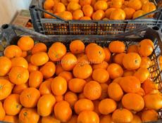 Желтые мандарины 