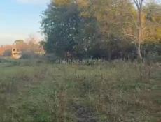 Два участка в Алахадзы