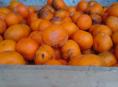 Брадаю мандарины 