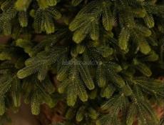 Искусственная ёлка 