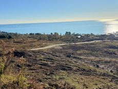 15 сотых в Н.Афоне