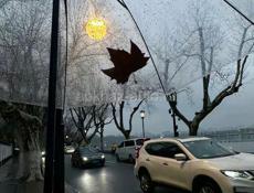 Ищу работу Продавца консультанта