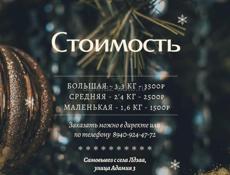 Ачма, которая сводит с ума