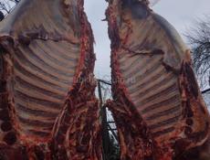 Говядина Бычок  на Новый Год