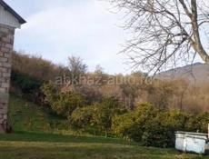 Дом с большим участком 