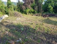 Участок в В Эшерах