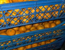 Мандарины на сок