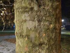 Сниму квартиру