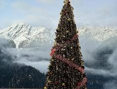 Кролики больших пород.