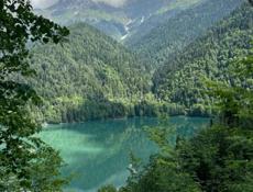 Куплю дом в деревне