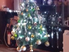 Продаю ëлки. 