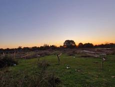 Белая речка 