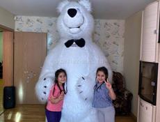 Продам мишку