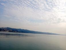 Ищу работу в Гудауте