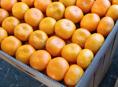 Куплю мандарины