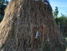 В продаже сено 