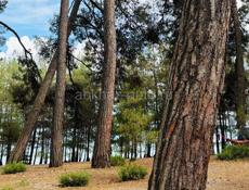 Сдаю посуточно A-frame 