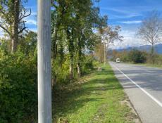 Участок Звандрипш вдоль дороги 🔥👍🔥👍