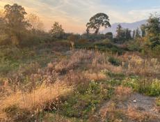 Участок 15 соток НОВЫЙ АФОН ЦЕНА ДО КОНЦА ГОДА 